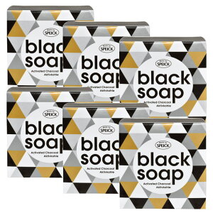 SPEICK XpCN@ubN@\[v (ESgp΂) 100g×6_Zbg