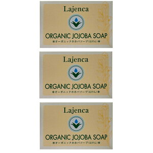  CJIC I[KjbNzzo\[v@100g y×3_Zbgz