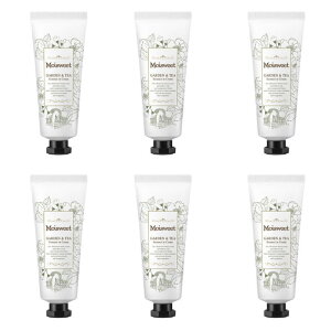 CXEB[g t[cGbZX C N[(ێN[) K[f&eB[ 40g ܓ ×6_Zbg