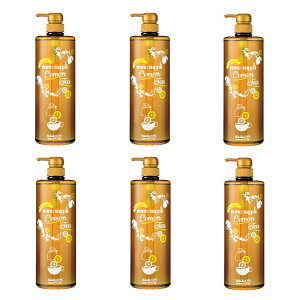 Tj[vCX imTvVv[v~A eB[ 1000mly×6_Zbgz