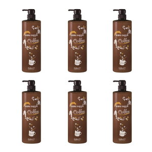 Tj[vCX imTvg[ggv~A R[q[ 1000mly×6_Zbgz