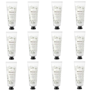 CXEB[g t[cGbZX C N[(ێN[) K[f&eB[ 40g ܓ ×12_Zbg