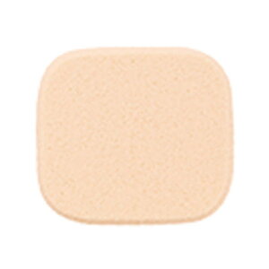 yNbN|XgőzR[Z[vtFbVi NA^[EX XeBOt@f[V UV CNAbvX|WN (ւpX|W )