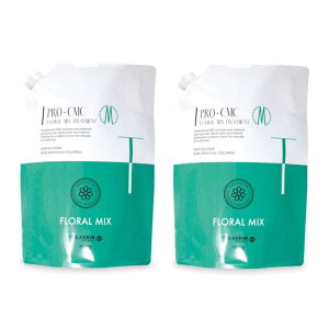 cw fNVI vCMC t[~bNXg[gg 3000g tB×2_Zbg