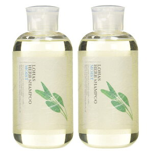 テクノエイト ロハスハーブシャンプー モイスト (しっとりタイプ) 300ml【2個セット】