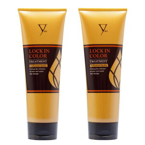 t@Ce LOCK IN COLOR @bNCJ[@g[gg@240g×2_Zbg