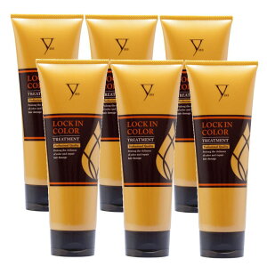 t@Ce LOCK IN COLOR @bNCJ[@g[gg@240g×6_Zbg