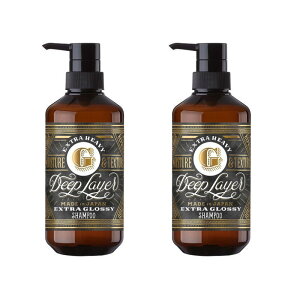 b-ex@fB[vC[ Vv[ EXTRA GLOSSY 500ml ×2_Zbg