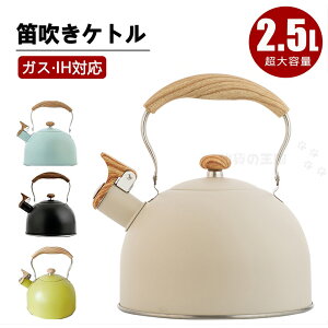 Pg XeX JPg 2.5L ₩ JPg zCbXPg Pbg XeX Pg Lb`G  KXΑΉ IHΉ e Pg Lb`pi L 킢 