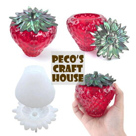 【送料無料】シリコンモールド 3D いちご型 ジュエリーボックス ポット 苺 フルーツ アクセサリー ハンドメイド パーツ 宝石箱 小物入れ 宝箱 果物 置物