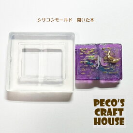 【送料無料】 シリコンモールド 開いた本　魔導書　book UVレジン イヤリング ピアス アクセサリー プレゼント 夏休み　冬休みの宿題