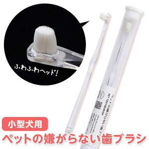 1000~|bL  L uV  _炩 h ^ \tg WA NA ybǧȂuV p ybgp L̎uV Η\h  V ps[ pecree  