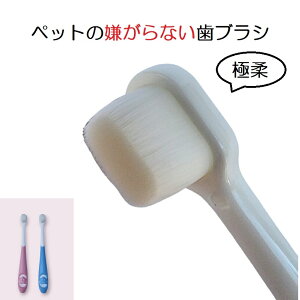 1000~|bL  L uV _炩 h ybǧȂuV   ^ ^ ^ \tg WA f^PA PECREE ` gCv[ |jA ~j`A