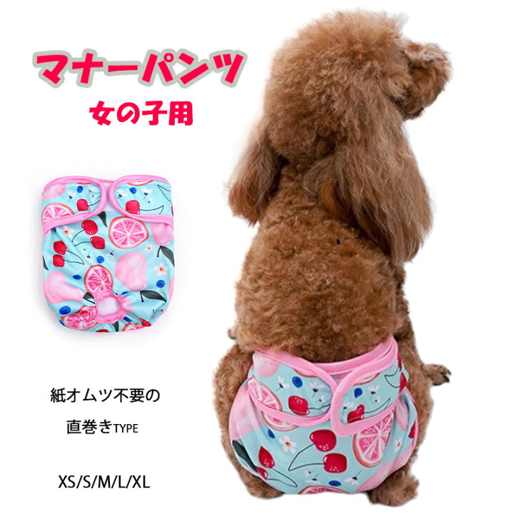 楽天市場】在庫処分 売切 犬 マナーパンツ 女の子用 布おむつ ステル 