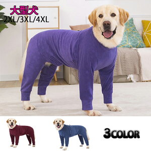   H ~ ^  p[X ̕ ~  {A t[X N j̎q ̎q ybg hbOEGA  ї\h 킢 ₷ hbO hbOJtF U 