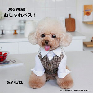 ̕ t H ~ xXg   j̎q L ybg hbOEGA    킢 hbO hbOJtF U o ^ O Ȃ ₷ LOBe