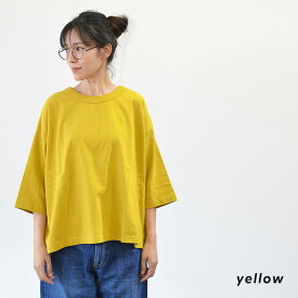 【ポイント10倍】HEAVENLY ヘブンリー Organic Cotton 7/S T-Shirt(全4色) 2547104 送料無料 メール便OK