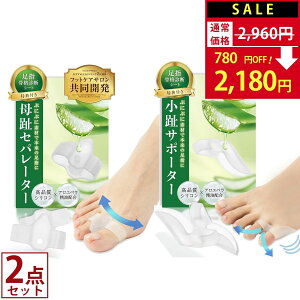 ySALEF2,960~2,180~Iz Zp[^[ + T|[^[ Zbg yTďC×AGzz Zp[^[ O  wZp[^[  w T|[^[ Qw 