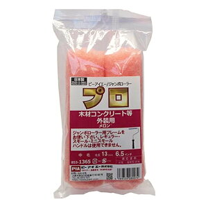W{[[@iя13mm^6.5C`j853-1365-24@1܁i2{jyPIAis[ACG[jz