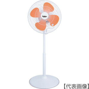 Suiden@H@1{X^h^Cv@t~St@@nl45cm@100ViSF-45VF-1VP2j161-3817yijXCfzϕs