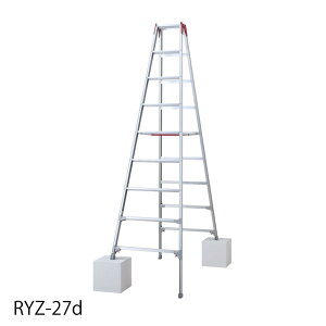 �n�Z�K���@�r���L�k���A���~��p�r���@RYZ�^�@9�i RYZ-27d�@�i10891�j�y���J��H�Ɓi���j�z���l��s��