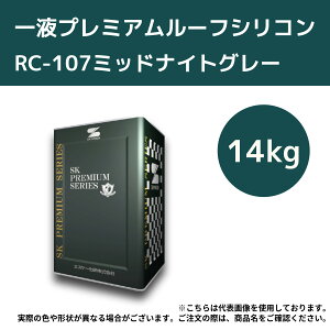 tv~A[tVR@14kg@RC-107~bhiCgO[yGXP[zϕsALZs