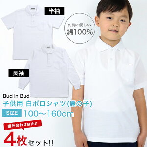 yXN[ |Vc 4ZbgzIׂ   100  q |Vc LbY XN[|Vc ̎q q jp w  ʉ ʊw w n |Vc  ̎q 