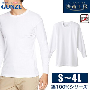 O[ KH[ am  ێ Vc 100  Ci[ GUNZE S/M/Ly[։zKH3008