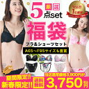 2019ブラ 福袋 おまかせ ブラジャー&ショーツ5組入セット【送料無料 A65〜F95】新春福袋 下着 レディース セット ブラジャー ショーツ セットブラ&...