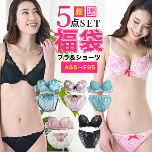ブラ 福袋 おまかせ ブラジャー&ショーツ5組入【送料無料 A65〜F95】福袋 下着 レディース セット ブラジャー ショーツ セットブラ&ショーツ ブラ福袋 おまかせ5組セット