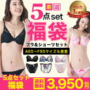 ブラ 福袋 おまかせ ブラジャー&ショーツ5組入【送料無料 A65〜F95】福袋 下着 レディース セット ブラジャー ショーツ セットブラ&ショーツ ブラ福袋...