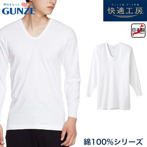 O[ KH[ am  U Vc 100  Ci[ GUNZE LLTCY y[։zKH3010