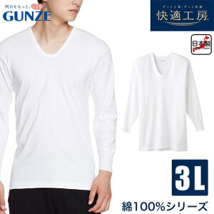 O[ KH[ am  U Vc 100  Ci[ GUNZE 3LTCY y[։zKH3010