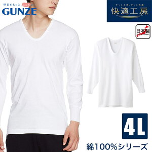 O[ KH[ am  U Vc 100  Ci[ GUNZE 4LTCY y[։zKH3010