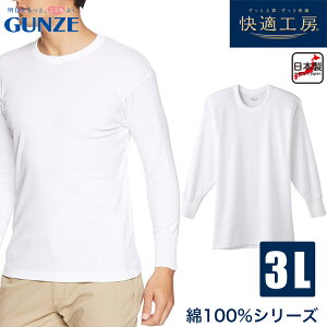 O[ KH[ am  ێ Vc 100  Ci[ GUNZE 3LTCYy[։zKH3008