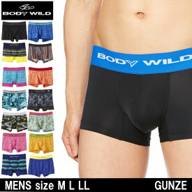 【15％OFFクーポン！3000円以上】特別価格 福袋 2024 おまかせ3枚セット【 BODY WILD 】 ボディワイルド ボクサーパンツ 3枚セット グンゼ ボクサーブリーフ 紳士 メール便 送料無料