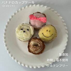 バナナケーキ 犬のおやつ 犬用ケーキ　グルテンフリー 犬おやつ 無添加 ペットケーキ 犬用おやつ 犬のケーキ 犬 ケーキ 犬用 愛犬 ご褒美 ペット用ケーキ わんちゃんおやつ 砂糖・塩不使用 犬の健康 犬のご褒美 米粉ケーキ