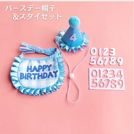 帽子＆スタイセット 誕生日パーティー バースデーパーティー 写真 写真映え 記念写真 バースデー帽子 可愛い帽子 お誕生記念
