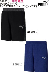 y[ցA|XgizmailSꗥiԁF589001PUMAyv[}zEVOSTRIPE V[c sWjAtq WjA LbY W[W pc TbJ[ n[t g