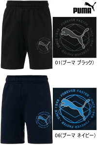 ACTIVE SPORTS g[jO V[c PUMA v[} WjA TbJ[ pc g[jO jO }\ ejX [ցA|Xgi SꗥiԁF675012