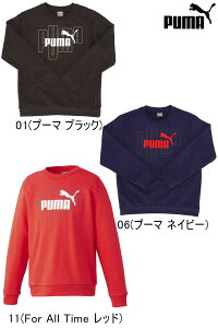GRAPHIC CREW TRPUMA v[}EFA LbY XEFbg g[i[ TbJ[ tbgT g[jOEFA[ցA|XgiSꗥ iԁF677735