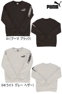ESS+ LOGO LABO CREW FLPUMA v[}EFA LbY YjZbNX TbJ[ tbgT g[jOEFA[ցA|XgiSꗥiԁF677741