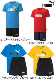 Tシャツ＆ショーツ セット《ジュニア》PUMA プーマ サッカー フットサル ランニング 上下セット セットアップトレーニング メール便、ポスト投函商品全国一律送料無料あす楽/即日発送可 品番：849616