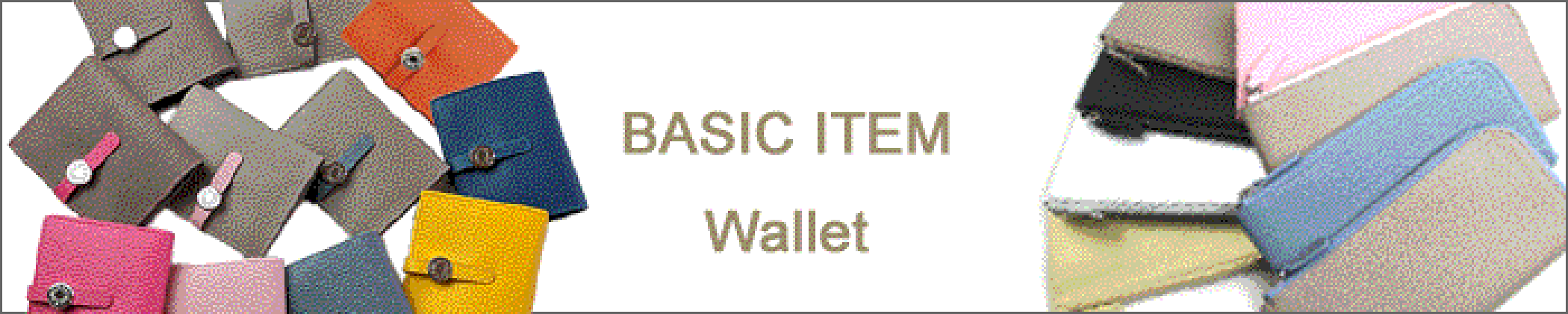 BASIC ITEM Wallet