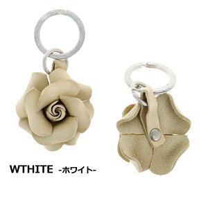  NICGA LA CUOIERIA {v U[ L[z_[ p{bNXt [Y P342 bh zCg sN C^A  L[O KN o i v obO`[   