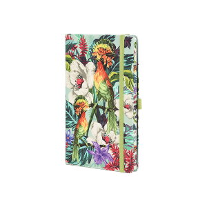 JXe~m m[g |Pbg Gf  r r  ̓   ItBX L G 蒠 c Mtg v[g j lC Xe[Vi[  A  l[ t[ 