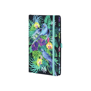 JXe~m m[g |Pbg Gf  r r  ̓   ItBX L G 蒠 c Mtg v[g j lC Xe[Vi[  A  l[ t[ 