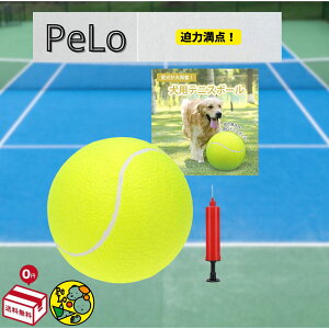 prbOejX{[  ybgpVѓ Op pC PeLo