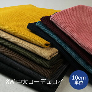 y10cmPʁz 8W  R[fC n i R[V n z 8EF[ N  H~ m | nhCh jy[1m܂Łz