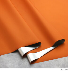 y10cmPʁz Ռ iC n iC ^t^ Vo[R[eBO H { n ( z 悯 ͂ TVF[h ^[v z˂ GRobO EChu[J[ 